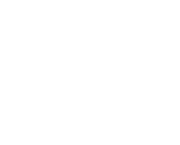 Sponsor