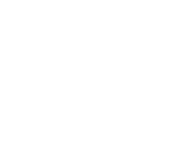 Sponsor